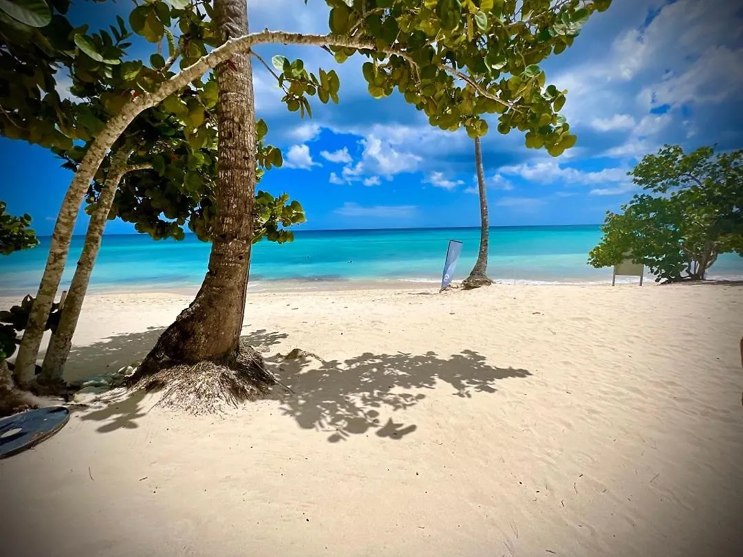 Appartement Komfortowy Apartament Z 4 Basenami I Pieknym Ogrodem, Estrella Dominicus-Bayahibe